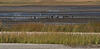 _A010105rotcr800oofm.jpg